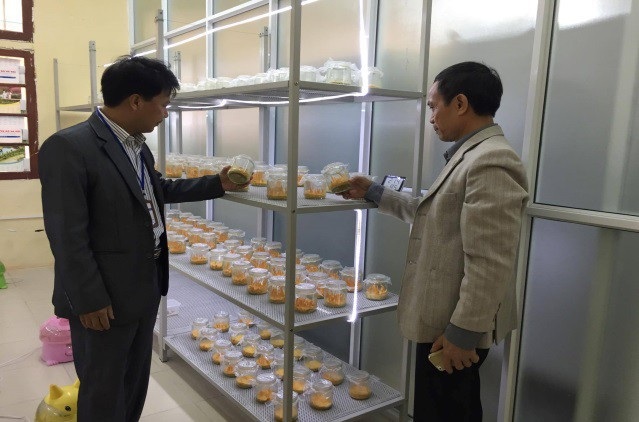 Khoa Công nghệ Môi trường - Trường Đại học Thủ đô Hà Nội đẩy mạnh nghiên cứu khoa học ứng dụng - 5 Khoa Công nghệ Môi trường - Trường Đại học Thủ đô Hà Nội đẩy mạnh nghiên cứu khoa học ứng dụng - 5