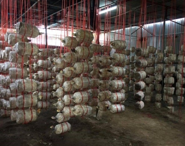 Khoa Công nghệ Môi trường - Trường Đại học Thủ đô Hà Nội đẩy mạnh nghiên cứu khoa học ứng dụng - 1 Khoa Công nghệ Môi trường - Trường Đại học Thủ đô Hà Nội đẩy mạnh nghiên cứu khoa học ứng dụng - 1