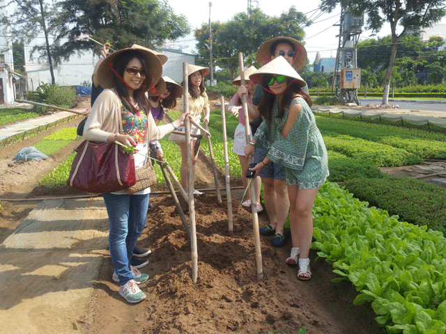 Cụ bà 71 tuổi tổ chức tour du lịch nông nghiệp làm du khách thích mê - 2 Cụ bà 71 tuổi tổ chức tour du lịch nông nghiệp làm du khách thích mê - 2