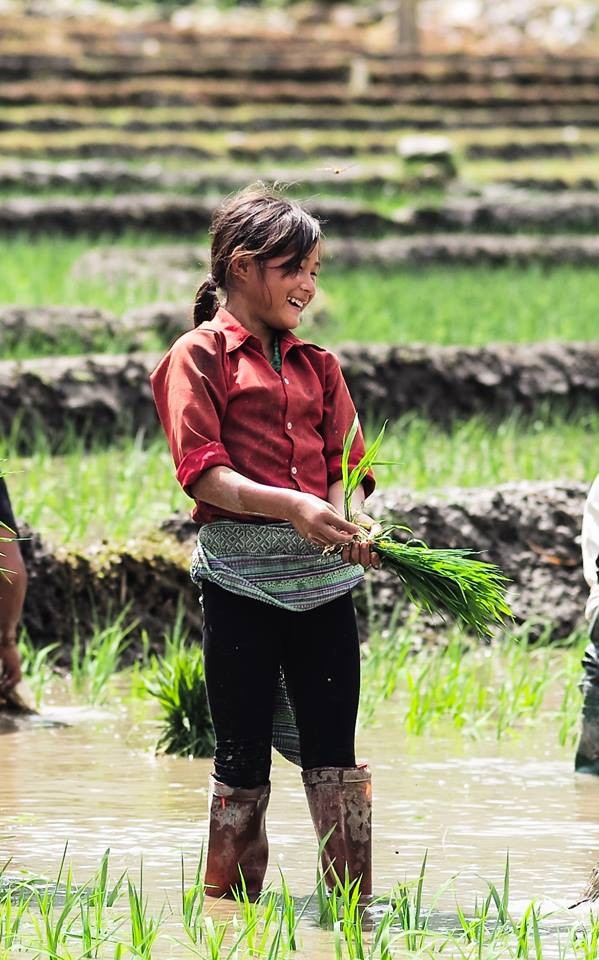 "Phượt" mùa nước đổ ruộng bậc thang... - 4 Giữa hai lần cấy