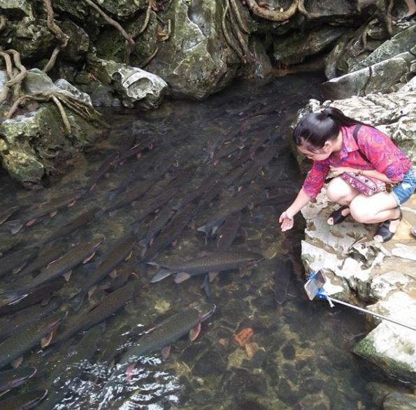 Mãn nhãn trước suối cá thần “khổng lồ” ở Thanh Hóa - 3 Đoạn suối tập trung cá đông đúc nhất là cách khu vực cửa hang khoảng 100m, tại đây nước trong vắt du khách có thể thỏa thích ngắm nhìn hàng nghìn con cá chen chúc nhau bơi lội. Ảnh: @chius.99