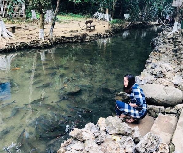 Mãn nhãn trước suối cá thần “khổng lồ” ở Thanh Hóa - 4 Đàn cá ở đây gồm các loài: cá dốc quý hiếm, cá chài, cá mại... với hình dáng lạ mắt, nhiều màu sắc, mỗi khi bơi thân cá lấp lánh ánh bạc rất đẹp, mỗi con có thể nặng từ 2kg đến 8kg, đặc biệt cá chúa ở suối cá thần Cẩm Lương nặng tới 30kg chỉ đôi lần xuất hiện khi nước lớn. Tuy mật độ cá dày đặc nhưng nước suối ở đây không tanh, người dân địa phương vẫn thường nấu ăn bằng nước suối này. Ảnh: @hoaithuong121094