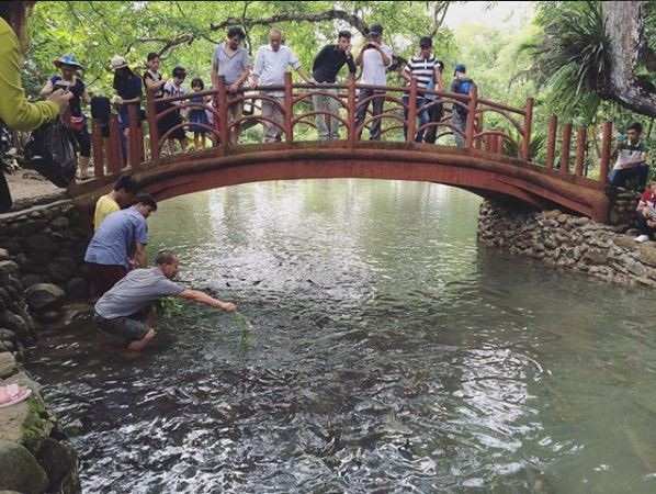 Mãn nhãn trước suối cá thần “khổng lồ” ở Thanh Hóa - 10 Nhiều du khách thích thú khi được ngắm nhìn đàn cá khổng lồ với hàng nghìn con bơi lội dày đặc dưới mặt nước. Ảnh: @stand.up.56808