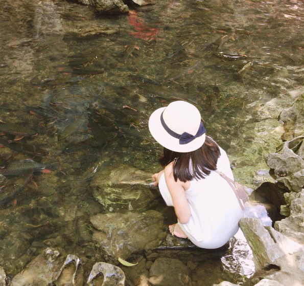 Mãn nhãn trước suối cá thần “khổng lồ” ở Thanh Hóa - 6 Có rất nhiều câu chuyện ly kỳ liên quan đến nguồn gốc của suối cá thần Cẩm Lương. Người dân ở đây tin rằng, nếu ai trêu đùa, làm hại cá thần hay làm bẩn nước sẽ bị trừng phạt. Dù không rõ thực hư của những câu chuyện này thế nào nhưng người dân ở đây không bao giờ đánh bắt cá ở con suối này. Ảnh: @kieuthuy_