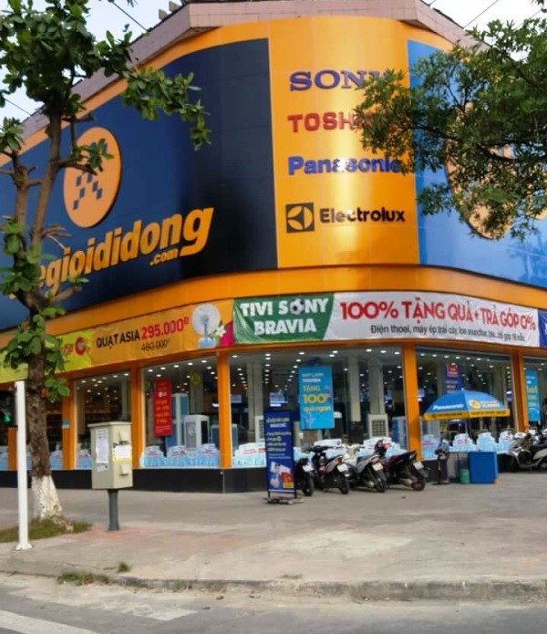 Quảng Bình: Cấp phép cho doanh nghiệp chặt hạ cây xanh để lấy mặt tiền buôn bán! - 3 Trước đó, hai cây khác nằm trên đường Lý Thường Kiệt cũng bị chặt hạ không thương tiếc