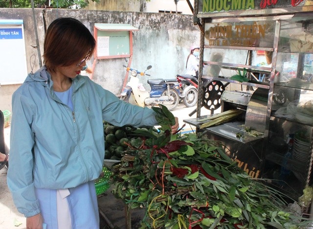Gần tết Đoan Ngọ, bánh ú tro, lá xông nhộn nhịp “xuống đường” - 6 Mỗi bó lá được bán với giá 10.000 đồng.