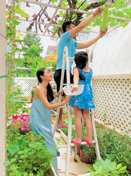 Khoảnh khắc hai vợ chồng cùng bé Bánh gạo thu hái thành quả trong vườn nhà.