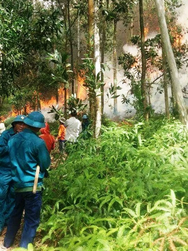 Cháy rừng thông giữa trưa, hàng trăm người đội nắng dập lửa - 2 Hàng trăm người đã phải rất vất vả mới khống chế được ngọn lửa.