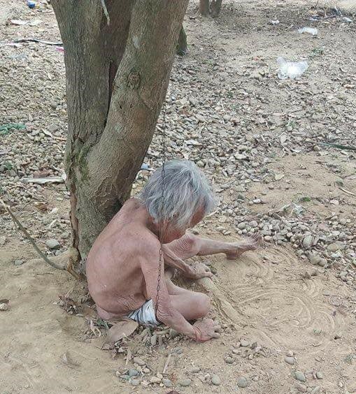 Cụ bà bị xích dưới gốc cây không bị bệnh tâm thần - 1 Hình bà Cụt bị xích vào gốc cây được đăng tải trên Facebook