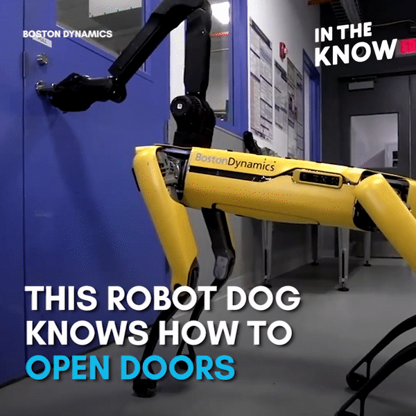 Khám phá chú chó robot có thể tự mở cửa và rửa bát cho chủ nhân - 1 Khám phá chú chó robot có thể tự mở cửa và rửa bát cho chủ nhân - 1