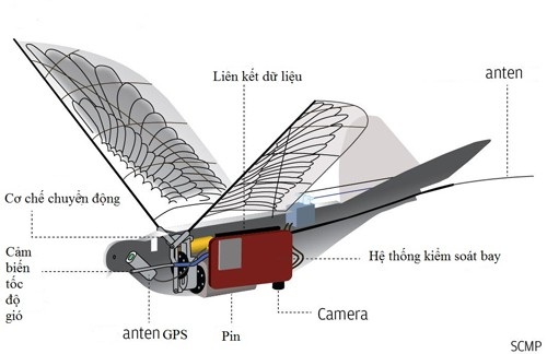 Trung Quốc sáng chế UAV chim bồ câu bịt mắt radar - 2
Thiết kế của máy bay không người lái thuộc chương trình Bồ câu. Ảnh: SCMP.