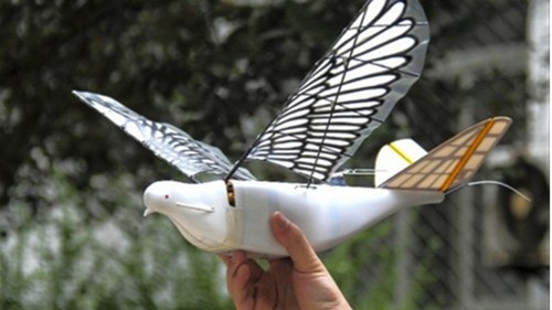 Trung Quốc sáng chế UAV chim bồ câu bịt mắt radar - 1
Thiết bị bay không người lái mô phỏng chim bồ câu của Trung Quốc. Ảnh: SCMP.