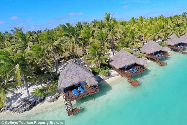 Chiêm ngưỡng resort hướng biển đang được rao bán giá 500 tỷ đồng - 2 Đây là một resort rộng rãi, cảnh quan đẹp, có 36 bungalow đón khách.