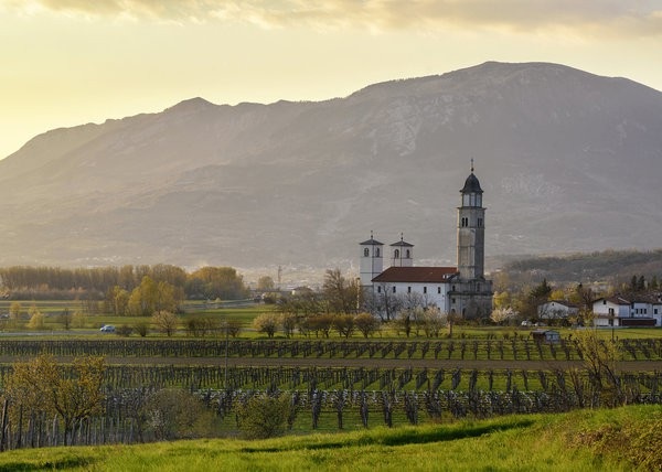 Tìm một Châu Âu không theo "lối mòn" - 9 Thung lũng Vipava, Slovenia