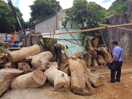 Thu giữ kho vũ khí "khủng" tại sào huyệt của 2 trùm ma tuý bị tiêu diệt - 1 Thu giữ kho vũ khí "khủng" tại sào huyệt của 2 trùm ma tuý bị tiêu diệt - 1