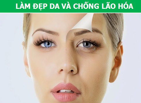 Hạt chia - "Siêu thực phẩm" hàng đầu cho sức khỏe - 1 Hạt chia - "Siêu thực phẩm" hàng đầu cho sức khỏe - 1