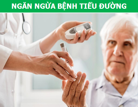 Hạt chia - "Siêu thực phẩm" hàng đầu cho sức khỏe - 4 Hạt chia - "Siêu thực phẩm" hàng đầu cho sức khỏe - 4