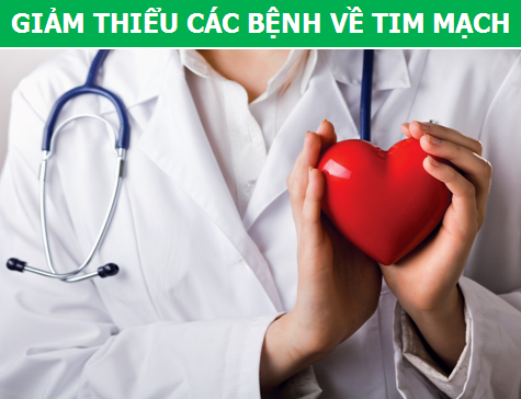 Hạt chia - "Siêu thực phẩm" hàng đầu cho sức khỏe - 3 Hạt chia - "Siêu thực phẩm" hàng đầu cho sức khỏe - 3