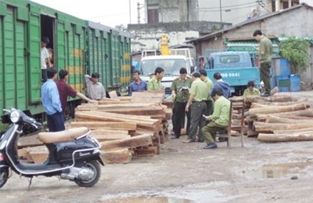 Truy tố nguyên 3 cán bộ hải quan trong đường dây buôn lậu gỗ - 1 Cơ quan liên ngành bắt giữ lô gỗ lậu tại ga Giáp Bát, Hà Nội. (Ảnh, minh hoạ).