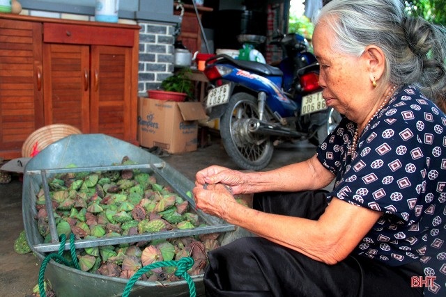 Hết mùa hoa sen, hái đài sen vẫn thu được tiền triệu/ngày - 6