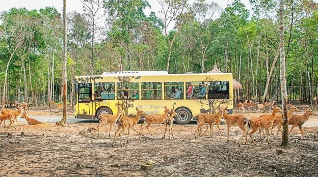 7 trải nghiệm tuyệt vời nhất định phải thử khi đến Phú Quốc - 5 7 trải nghiệm tuyệt vời nhất định phải thử khi đến Phú Quốc - 5
