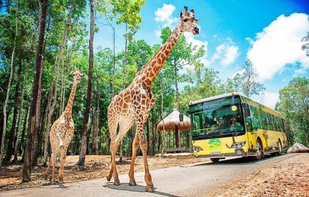 7 trải nghiệm tuyệt vời nhất định phải thử khi đến Phú Quốc - 7 7 trải nghiệm tuyệt vời nhất định phải thử khi đến Phú Quốc - 7
