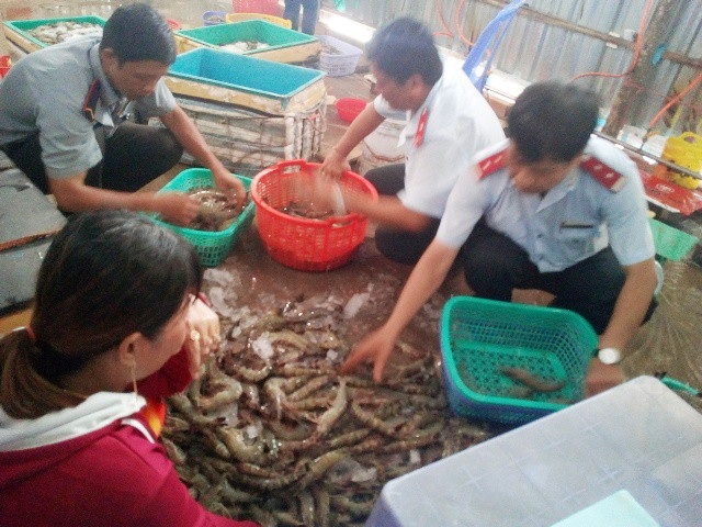 Bắt hơn 18 tấn tôm có chứa tạp chất - 1 Một vụ bắt tôm tạp chất trên địa bàn tỉnh Bạc Liêu.