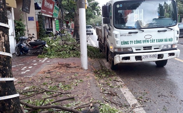 Hà Nội: Lợi dụng mưa bão, “sưa tặc” tái xuất - 1
Phần còn lại cây sưa trên đường Phan Kế Bính bị chặt trộm vào ban đêm