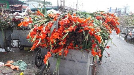 Hình thức và lãng phí! - 1
Ảnh minh họa. (Nguồn: vtv.vn).