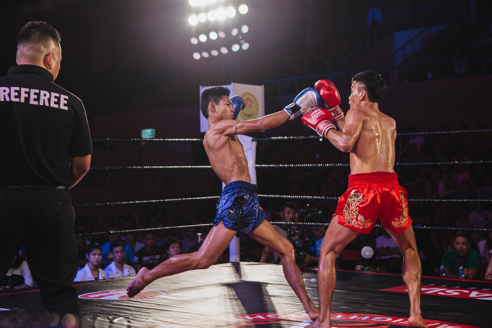 Thể hình và Muay có mặt tại triển lãm ngành công nghiệp tăng cường chất lượng sống 2018 - 1 Đêm thượng đài đẳng cấp cao Muay Thai Fight sẽ diễn ra tối 19/8
