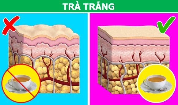 5 loại trà giúp cơ thể cân đối không kém gì việc tập Gym - 4 5 loại trà giúp cơ thể cân đối không kém gì việc tập Gym - 4