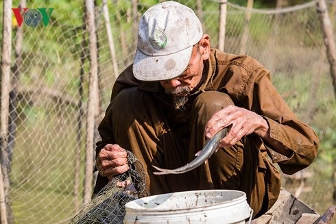Đời thường của anh hùng “phi công nông dân“ - 4 Người anh hùng giờ quanh năm sống vui giữa miệt vườn với đầm sen, ao cá.