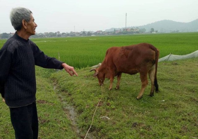 Vụ chăn trâu bò phải đóng phí đồng cỏ: Kiểm điểm rút kinh nghiệm - 1 Kiểm điểm, rút kinh nghiệm đối với tập thể, cá nhân có liên quan đến vụ chăn trâu bò phải đóng phí đồng cỏ