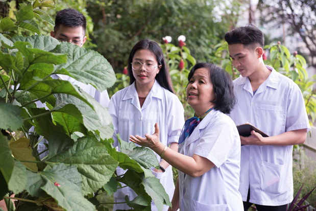 HIU đào tạo khối ngành sức khỏe chất lượng cao theo chuẩn quốc tế - 2 Sinh viên khối ngành sức khỏe trong giờ thực hành tại vườn dược liệu của trường.