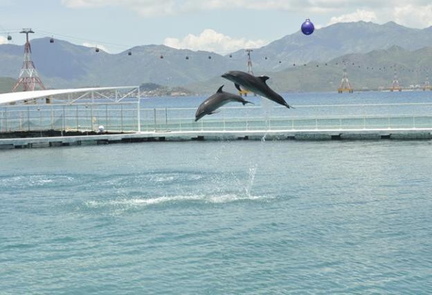 Một ngày khám phá thiên đường giải trí lớn nhất Nha Trang - 13