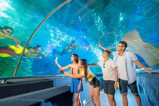 Một ngày khám phá thiên đường giải trí lớn nhất Nha Trang - 5