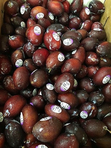 Mận “ngoại” có giá gần nửa triệu vẫn hút khách - 3 Hiện, mận Úc nhập khẩu được rao bán từ 130.000 - 300.000 đồng/kg nhưng vẫn rất nhiều người tìm mua. (Ảnh: Fruitshop)
