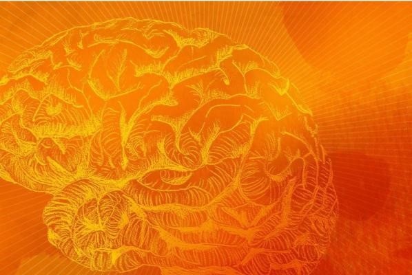 Tìm ra cách ngăn chặn lão hóa mạch não, cải thiện trí nhớ - 1 Tìm ra cách ngăn chặn lão hóa mạch não, cải thiện trí nhớ - 1