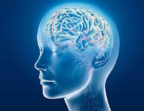 Kích thích não có thể cải thiện trí nhớ trong khi ngủ - 1 Kích thích não có thể cải thiện trí nhớ trong khi ngủ - 1