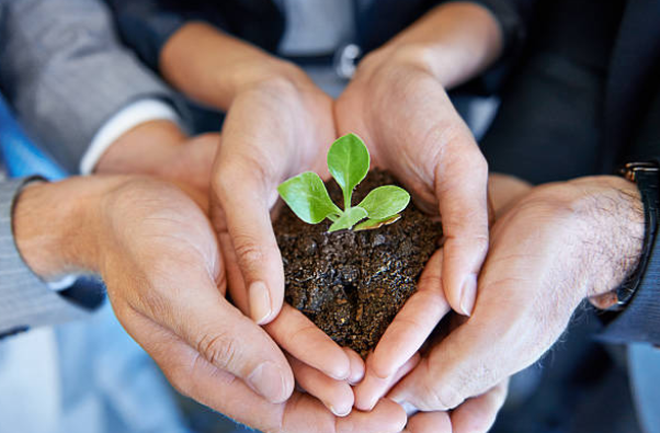 Khi cuộc đời chỉ cho ta một trái chanh - 1 Khi cuộc đời chỉ cho ta một trái chanh - 1