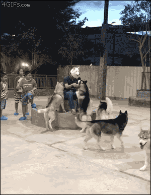 Khi lớp học toàn trai bỗng có thêm bạn gái mới gia nhập