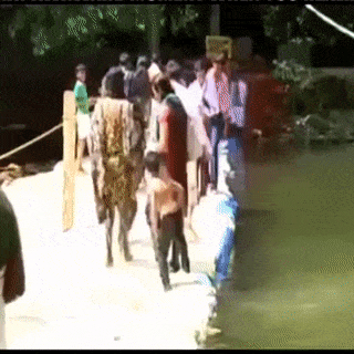 Không phải lúc nào nỗ lực làm việc tốt cũng được đền đáp