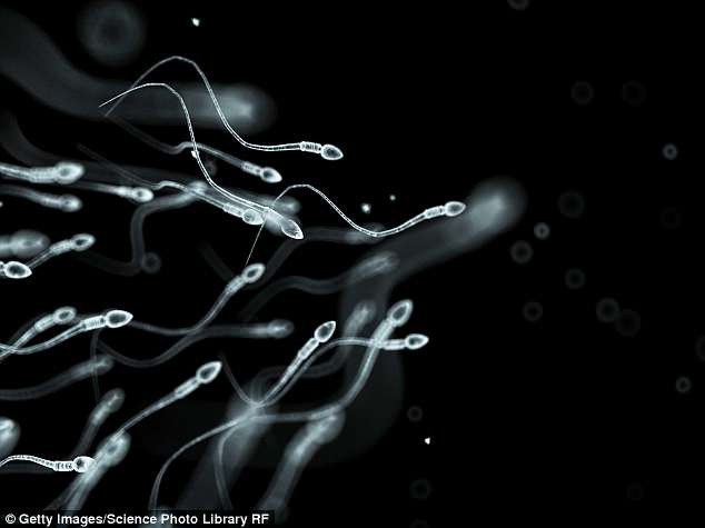 Đột phá chỉnh sửa gen của... tinh trùng - 1 Đưa hệ thống chỉnh sửa gen CRISPR vào tinh trùng bằng cách sử dụng sốc điện ngắn và mạnh có thể là cách để sửa chữa ADN trước khi nó trở thành một phần của phôi đang phát triển