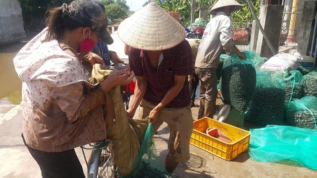 Ninh Bình: Những phận đời vật vã mưu sinh dưới nắng nóng 40ºC - 6 Ninh Bình: Những phận đời vật vã mưu sinh dưới nắng nóng 40ºC - 6