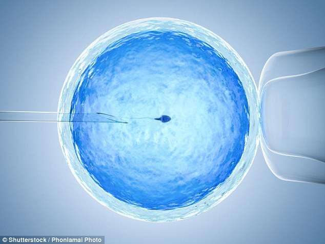 IVF có gây ung thư buồng trứng? - 1 Các nhà nghiên cứu đã gọi các phát hiện là “đáng an tâm” khi có bằng chứng cho thấy sự kích thích nội tiết tố của buồng trứng có thể làm tăng nguy cơ mắc bệnh