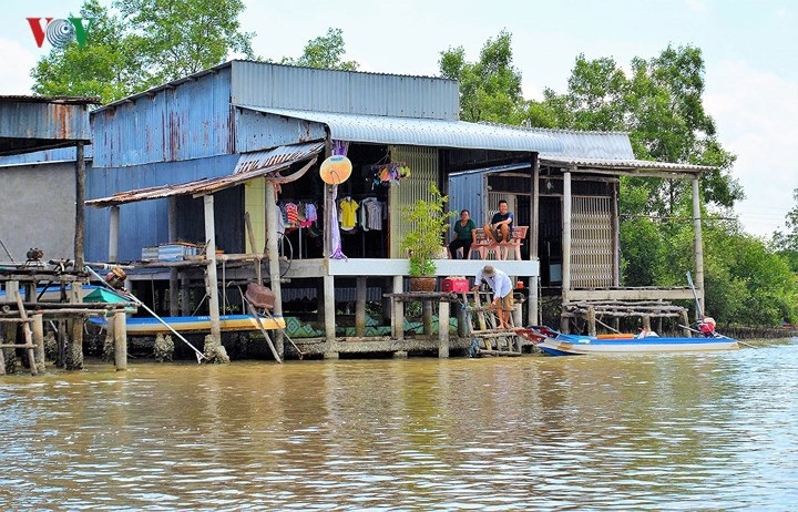 Đặc sắc nhà “cao cẳng” ở đất Mũi Cà Mau - 4 Những ngôi nhà cao cẳng rất phổ biến ở các huyện Ngọc Hiển, Năm Căn, Đầm Dơi của tỉnh Cà Mau.