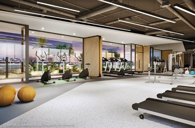 Dự án chung cư đầu tiên xây hồ bơi “siêu sang” dành riêng cho cư dân - 5 Chẳng hạng như phòng Gym, phòng đa năng...