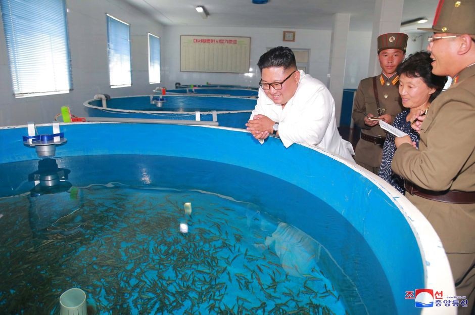 Khi ông Kim Jong-un “rời xa” các cơ sở tên lửa - 6 Ông Kim Jong-un tới thăm một trang trại nuôi cá.