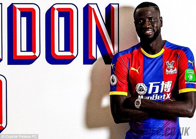 Toàn cảnh chuyển nhượng tại Premier League Hè 2018 - 7
Cheikhou Kouyate