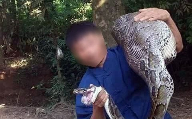 Hãi hùng trăn “khủng” nuốt sống dê 15kg, trăn hơn 30kg cuộn tròn trong ruộng mía - 1 Cận cảnh con trăn mà người dân bắt được (Ảnh: Báo Lạng Sơn).